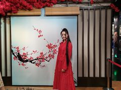 -武汉杜莎夫人蜡像馆