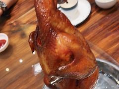 -千灯盛汇·头牌粤菜(致越优城店)