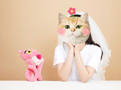 -海马体照相馆(义乌之心店)
