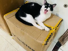 -铸信羽毛球俱乐部