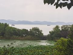 -上海市保健医疗中心