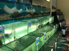 -琼大师东方烤乳猪(亚特兰蒂斯店)