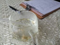 -成都伊贝丝美容美胸SPA会所