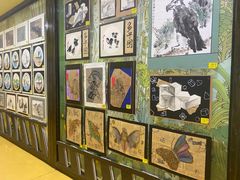 -杨梅红艺术教育(凤城教学中心)