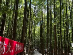 -山王坪喀斯特国家生态公园