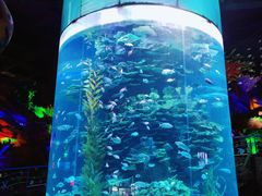 -泉城欧乐堡海洋极地世界