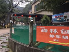 -天怡·鱼工厂(梅溪湖店)