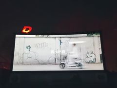-枫花园汽车电影院(朝阳公园店)