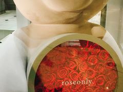 -ROSEONLY诺誓(青岛万象城店)