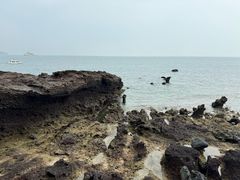 -涠洲岛火山国家地质公园