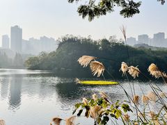 -重庆彩云湖湿地公园