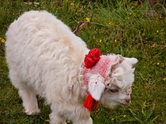 -日月山景区