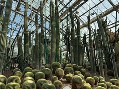 -南山植物园