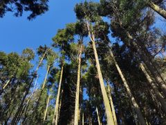 -山王坪喀斯特国家生态公园