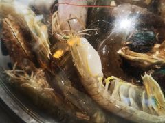 -大锅强·蒸海鲜青岛菜(吾悦广场店)