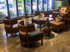 -畅想汤泉生活(民治店)