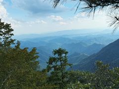-天目山大树王景区