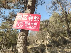 -白水寺森林公园