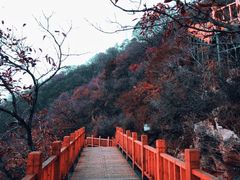 -狼牙山风景区