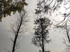 -南国桃园旅游度假区