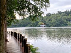 -深圳仙湖植物园