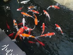 -天津波士信达奔驰4S店(卫津南路店)