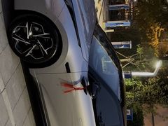 -车艺佳龙膜隐形车衣汽车贴膜(宝山丰宝店)