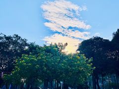-金砂公园