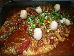 -鱼酷活鱼烤鱼(沈阳大悦城店)