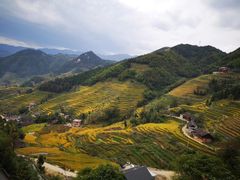-紫鹊界梯田景区