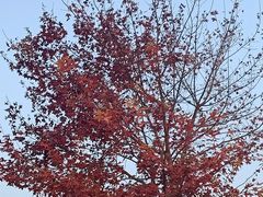 -北京西山国家森林公园