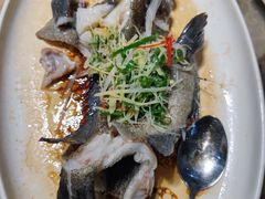 -百年银屏蚝烙·潮汕菜·非遗(乐山店)