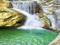 -牛背梁国家森林公园