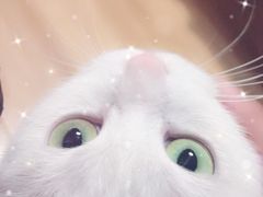 -宠颐生中康贝怡动物医院