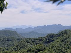 -大岭沟猕猴桃谷风景区