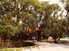 -同心泥烩鸡