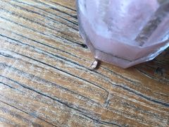 -吉丁鸟咖·异宠·寄养