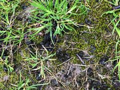 -苏州河梦清园环保主题公园