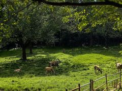 -深圳野生动物园