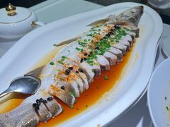 -院里寻菜·精致庭院菜(观沙岭店)