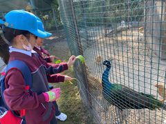 -前小桔亲子创意农场·草莓采摘·露营烧烤