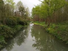 -桤木河湿地公园