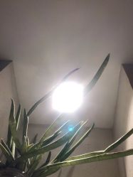 -香秀空间科技抗衰·美容中心
