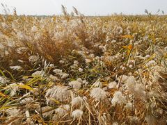 景点-野鸭湖国家湿地公园