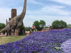 -南通洲际绿博园