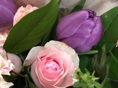 -植物学家的女儿(北马道巷店)