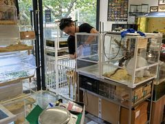 -酷以爬仙阁实体爬宠店·守宫·蜥蜴·专业繁育