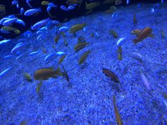 -成都浩海立方海洋公园