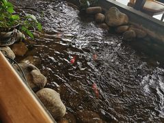 -山有花啡餐厅(常营总店)