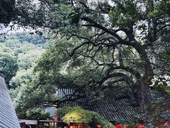 -杭州西湖风景名胜区-满觉陇四眼井